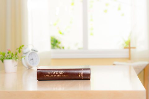 لماذا لا يُنفذ عمل الله في الأيام الأخيرة من خلال وسائل الروح؟ لماذا جاء الله لينفذ عمله في الجسد؟