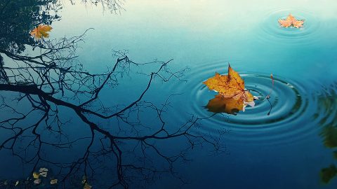 ما هي طبيعة مشكلة عدم اعتراف الإنسان بالحق الذي عبَّر عنه المسيح؟ ما هي عاقبة عدم معاملة الإنسان للمسيح على أنه الله؟