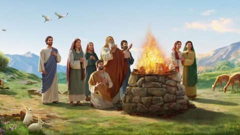 قصص الكتاب المقدس | بركة الله لنوح بعد الطوفان