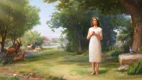 قصص من الكتاب المقدس | الله يخلق حواء