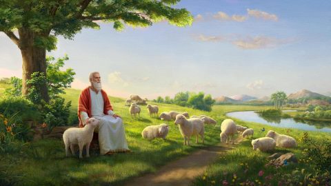 أيُّوب يمضي الجزء الأخير من حياته في غمرة بركات الله