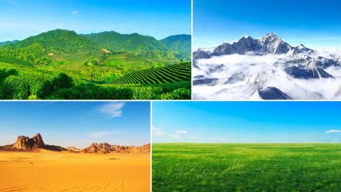 الله يوازن العلاقات بين جميع الأشياء ليمنح البشر بيئةً مُستقرَّة للبقاء على قيد الحياة