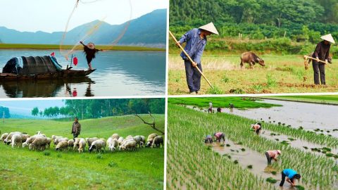 لقد تطوَّرت الحدود من أنماط الحياة المُتنوِّعة للبشر