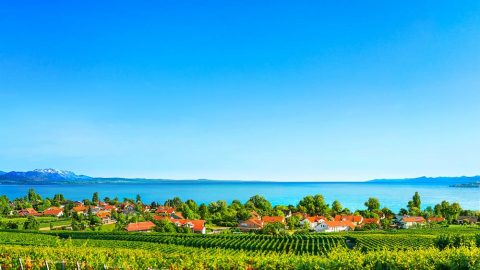 الله يخلق كل شيء ويحكمه ويدبره من أجل بقاء الجنس البشري