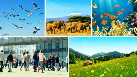 حقيقة تحكّم الخالق في جميع الأشياء والكائنات الحيّة وسيادته عليها تُعلِن عن الوجود الحقيقيّ لسلطان الخالق