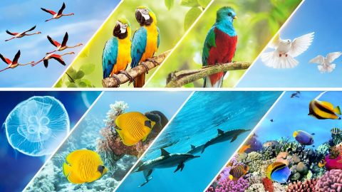 في اليوم الخامس، تكشف الحياة بمختلف أشكالها المتنوّعة سلطان الخالق بطرقٍ مختلفة