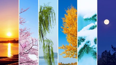 في اليوم الرابع تُخلَق مواسم البشريّة وأيامها وسنونها فيما يمارس الله سلطانه مرّةً أخرى