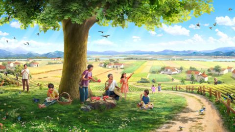 القصة: بذرة، والأرض، وشجرة، وضوء الشمس، والطيور المغردة، والإنسان