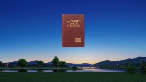 عمل دينونة الله في الأيام الأخيرة هو عمل دينونة العرش العظيم الأبيض، كما تنبأ عنه سفر الرؤيا