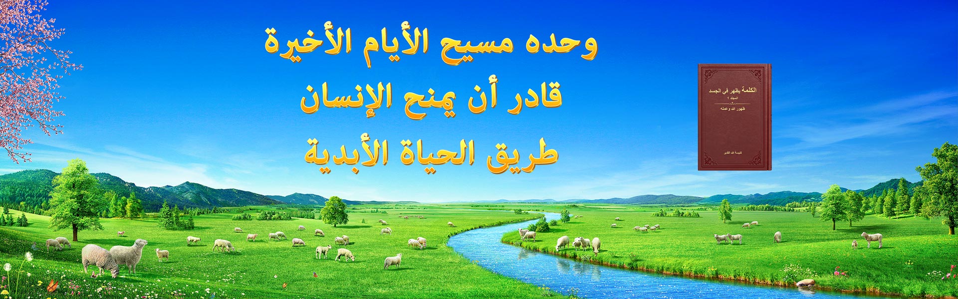 وحده مسيح الأيام الأخيرة قادر أن يمنح الإنسان طريق الحياة الأبدية